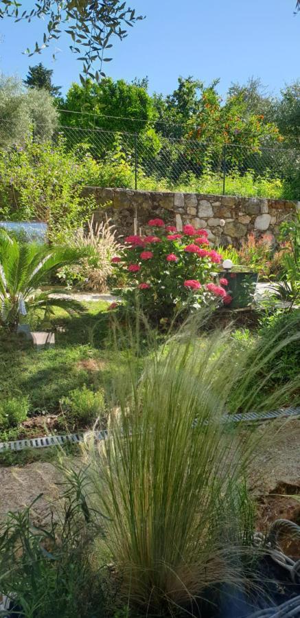La Bastide Aux Oliviers Tourrettes-sur-Loup Exterior photo